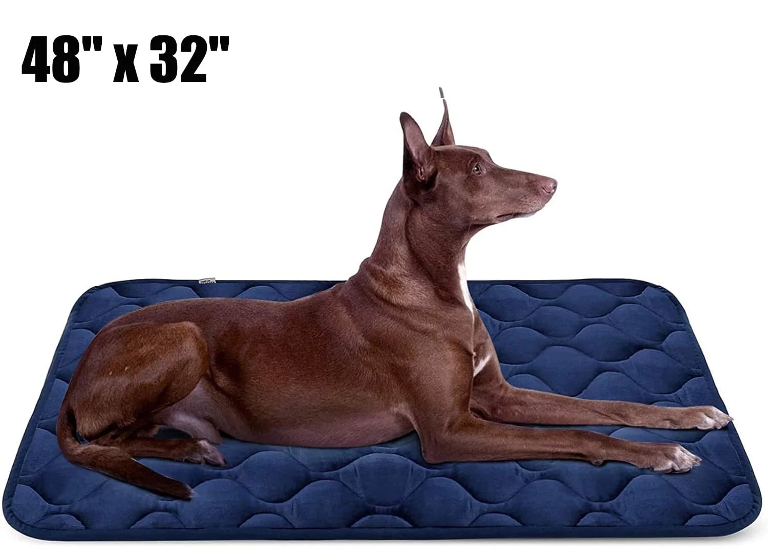 Large Dog Crate Bed Dog Crate Pad Washable Dog Bed Mat for Crate Mats for Dog Cage Mat Dog Kennel Pad Dog Kennel Mat Dog Crate Liner Dog Beds for Large Dog,48" X 32", 1/4" Thk,Blue