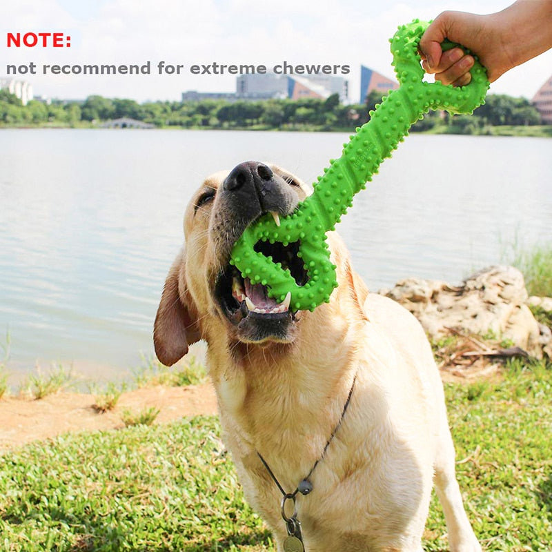 Benepaw Safe Big Tooth Cleaning Pet Toys For Medium Large Dogs Durable Interactive Dog Chew Toys Bone with Convex Design