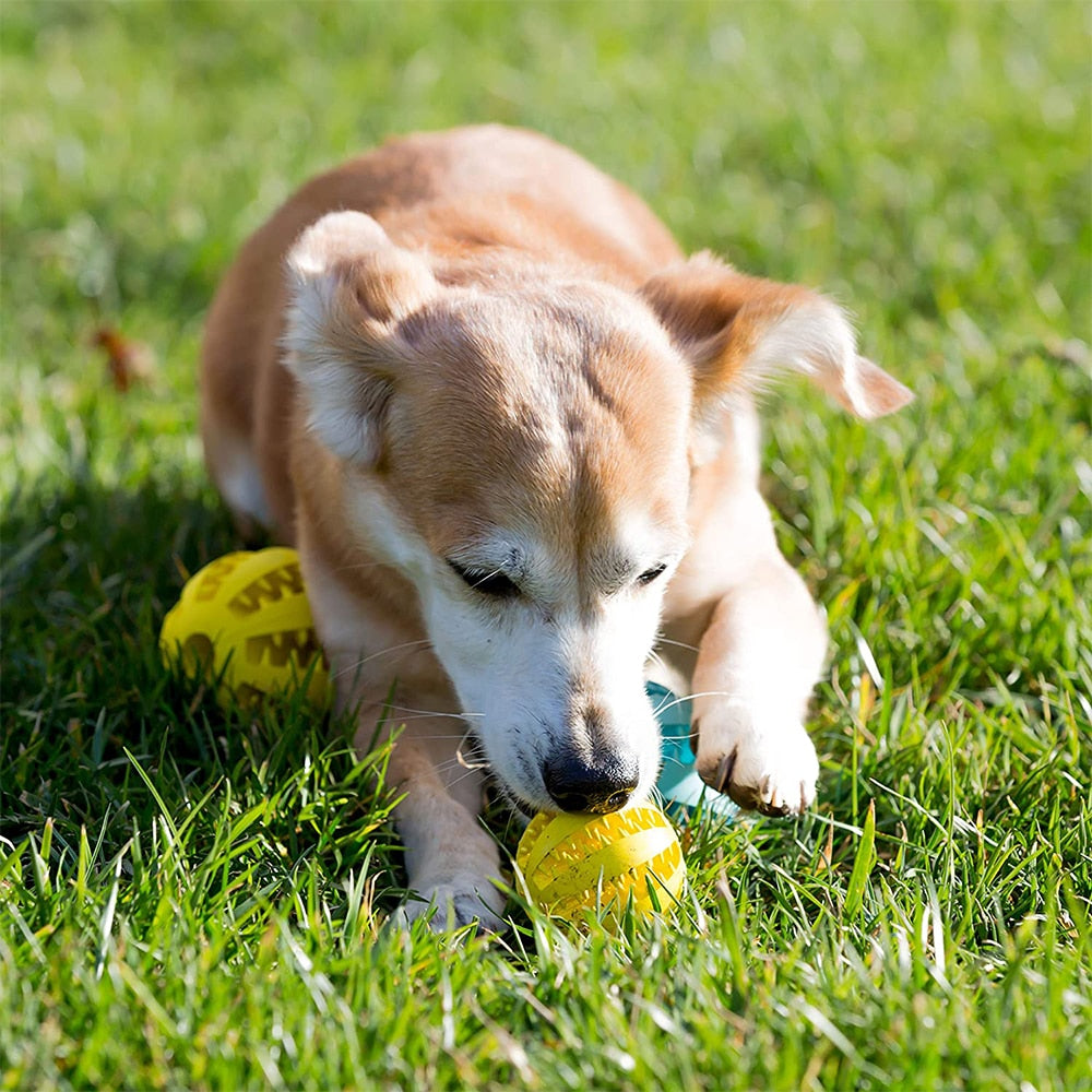 Toys for Dogs Rubber Dog Ball for Puppy Funny Dog Toys for Pet Puppies Large Dogs Tooth Cleaning Snack Ball Toy for Pet Products